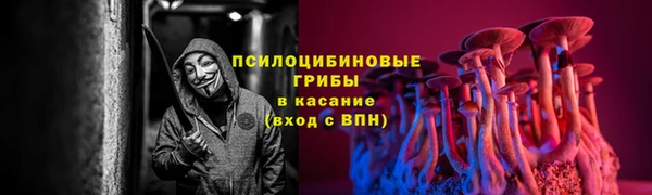 COCAINE Богородск