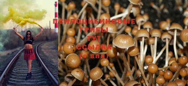 кристаллы Богородицк