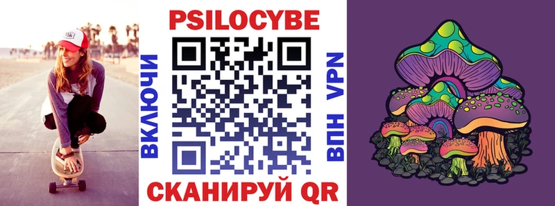 Галлюциногенные грибы Psilocybe  Купить закладки  Рославль 